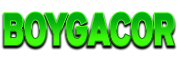 Logo Boygacor